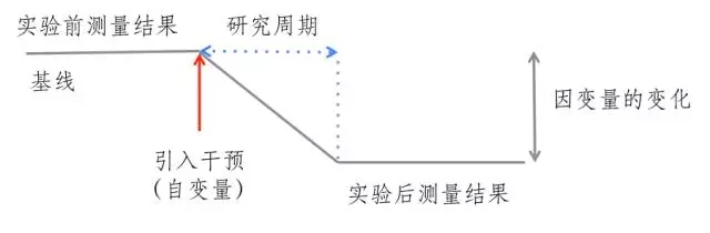 05.webp.jpg
